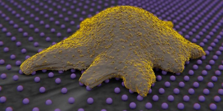 Nanotecnología: ¿Es este el futuro de la medicina moderna?