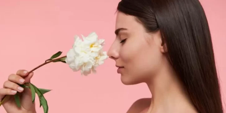 Aromas: ¿Cómo influyen estos en nuestro día a día a lo largo de la vida?